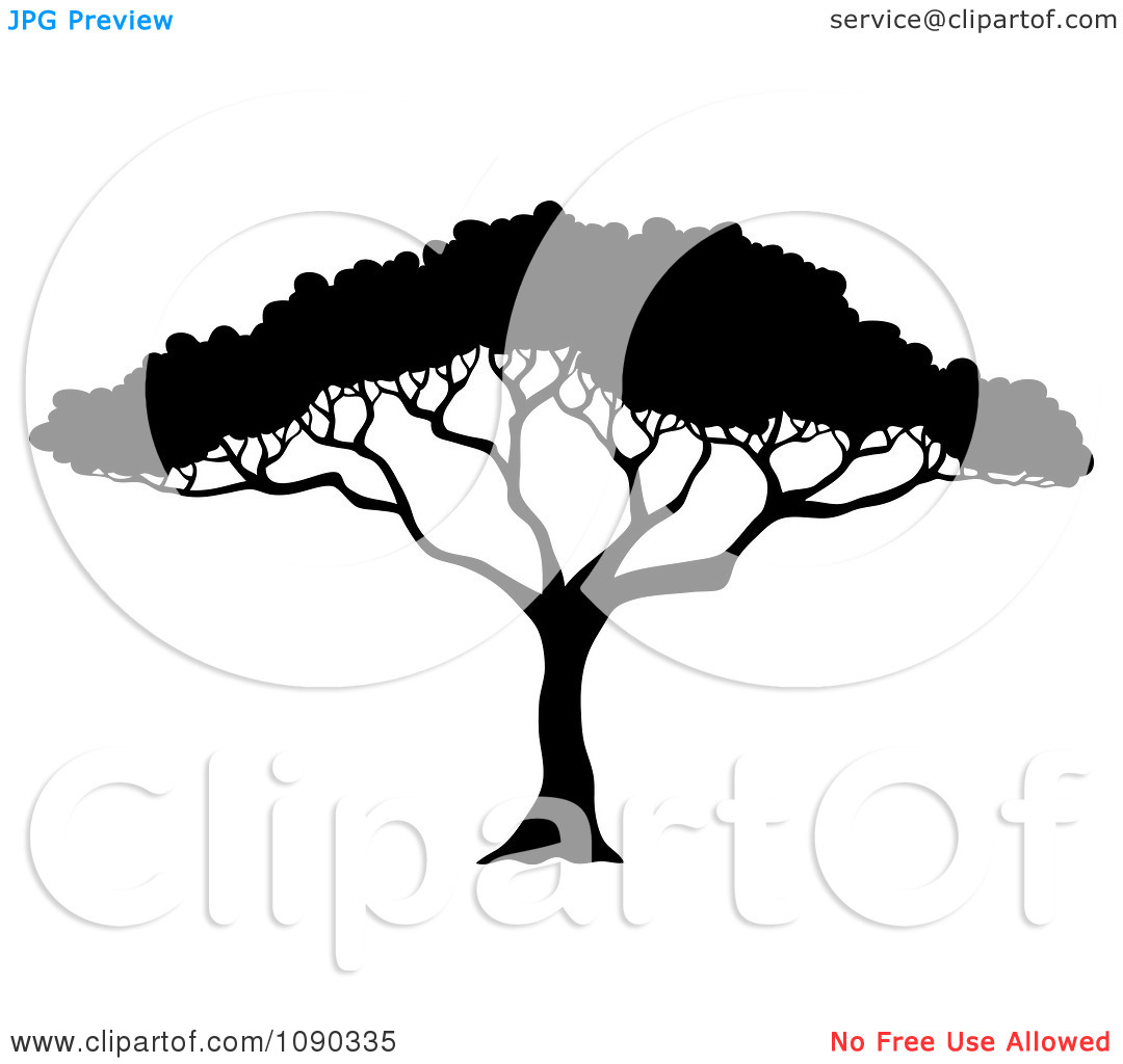 Clipart Silhouetted Acacia