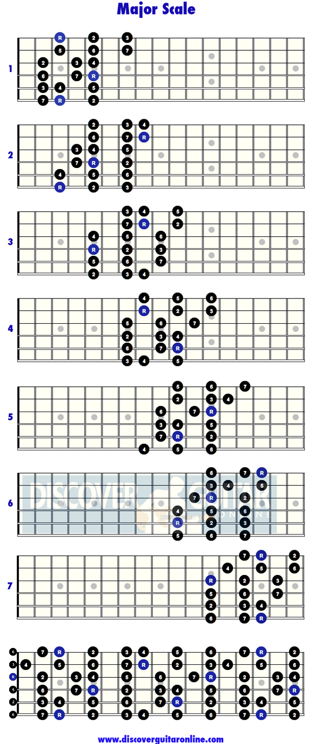 Scales » Major scale: 3