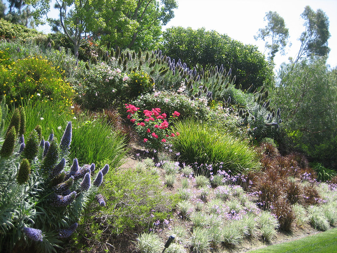 Colorful slope planting