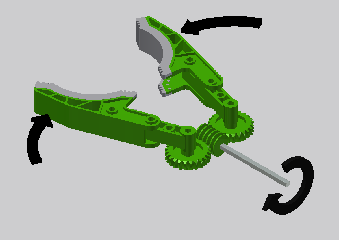 of a claw driven by a worm